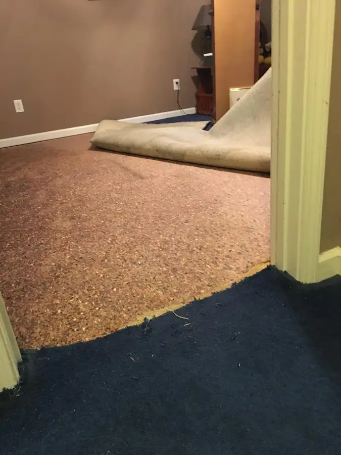 Carpet pad removal revealing water damage during Drying & Dehumidification in Spotswood